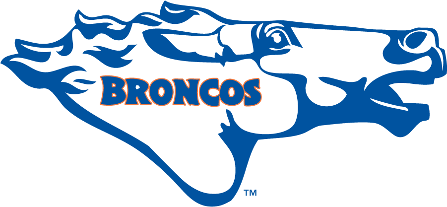 Boise State Broncos 1976-1980 Secondary Logo diy DTF decal sticker